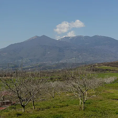 Village Katerini